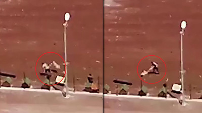 Vahşetin Adresi Bu Kez Kars... Barınakta Köpeklere Kan Donduran Şiddet