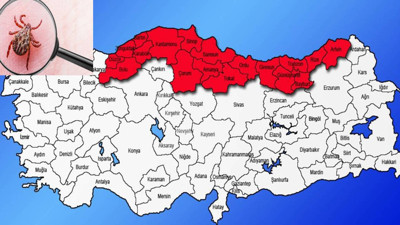 Karadeniz İçin Salgın Uyarısı: Baş Ağrısı, Halsizlik, Kas Ağrısı Yaşıyorsanız Aman Dikkat! Ölüme Kadar Götürüyor