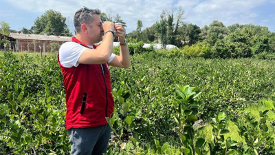 Coğrafi Tescilli Süper Meyve Hasadında Geri Sayım Başladı