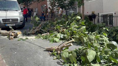 İstanbul'u Fırtına Vurdu: Ağaçlar Devrildi, 2 Kişi Yaralandı
