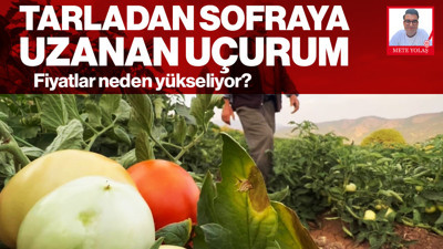 Gıda Lojistiğinde Raylı Sistem Eksikliği: Fiyatlar Neden Yükseliyor?