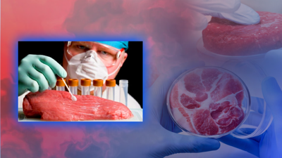 Türkiye’de 'Yapay Et' Dönemi mi Başlıyor? Gerçek Açığa Çıktı! Bakan Yumaklı İddialara Son Noktayı Koydu