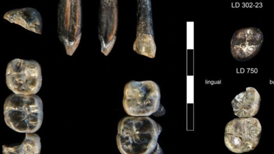 Afrika'da Ortaya Çıkarıldı: İnsan Atasına Ait Yeni Bir Tür Bulundu