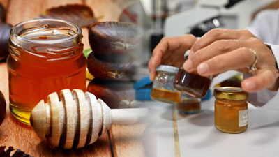 Yüzlercesi İncelendi, Uzmanlar Korkutan Sonucu Açıkladı: 'Balın Yapısı Değişti...'