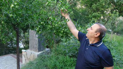 Zirai Don Tüm Meyveleri Yaktı, Bir Tek Onu Etkilemedi: Soğuğa Dayanıklı ve Getirisi Çok Yüksek!