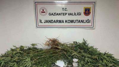 Gaziantep'te Uyuşturucu Operasyonu! 5 Kilo Esrar İle 178 Kök Kenevir Ele Geçirildi