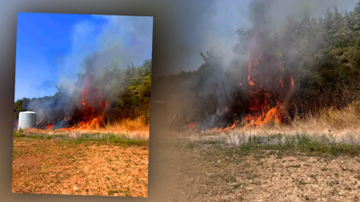Yine Orman Yangını Çıktı: Çanakkale'de Tahliyeler Başladı