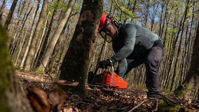 Orman Katliamına Yasal Kılıf… Yeni Yönetmelik Talanın Önünü Açtı! Yangından Daha Beter
