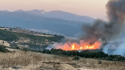 Susurluk'ta Orman Yangını