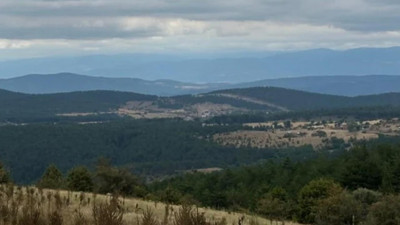 Karadeniz'in Kalbine Hançer! 51 Bin Ağaç Kesilecek, Su Kaynakları ve Köyler Tehdit Altında