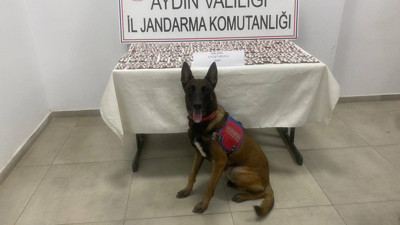 Aydın Germencik’te Jandarma Operasyonu