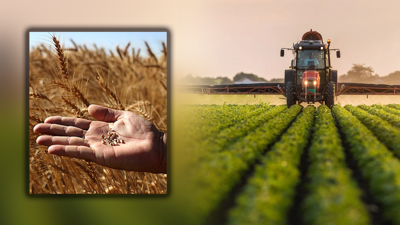Tarımda Yeni Dönem! Tarlası Olan Herkesi İlgilendiriyor, Hasat Öncesi Sürpriz Düzenleme Yarın Başlıyor