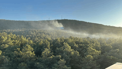 İstanbul'daki Orman Yangını Kontrol Altında