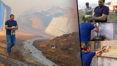 Kilometrelerce Uzaklıktan Gelen Kahraman! Alevlere Kendini Attı, Kedinin Hayatını Kurtardı