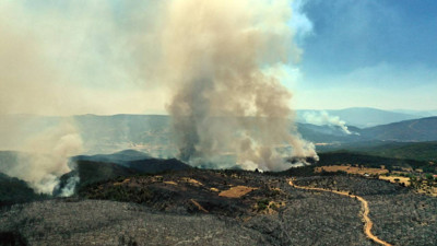 Biri Sönüyor, Diğeri Başlıyor! Ormanlarımız Alevlere Teslim
