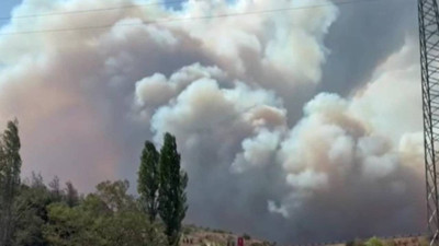 Bursa'da Orman Yangını! Rüzgarla Kısa Sürede Büyüdü, Ekipler Müdahale Ediyor