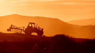 43 Yıllık Tarım Devinden Beklenmedik Konkordato Talebi: Sektörde Dengeler Değişecek
