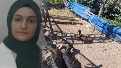 Diyarbakır'da Korkunç Olay! Yerde Yatan Keçiye Dokununca Öldü