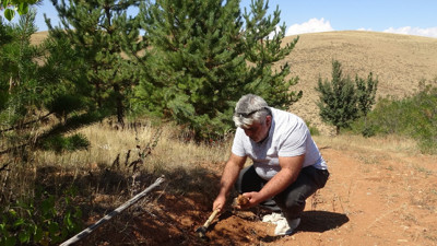 Toprak Altında Saklı Servet: Taşların Arasından Tek Tek Ayıklıyor, Gramı Altınla Yarışıyor