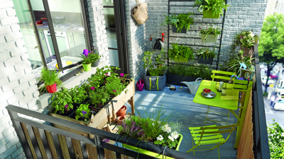 Eylül’de Balkona Eken Kazanıyor: 15 Günde Hasat Ediliyor, Çifte Verim Getiriyor