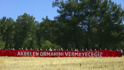 Akbelen'de Katliam Sürüyor... Zeytinlerin Kaderi Talan Şirketinden Maaş Alan Profesörün Elinde! İşte Kamuoyundan Gizlenen O Belge...