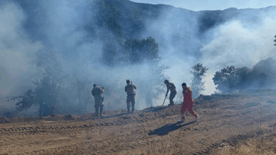 Tunceli'deki Orman Yangını Kontrol Altında