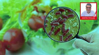 Gıda Kaynaklı Hastalıklar Neden Kayda Girmiyor?