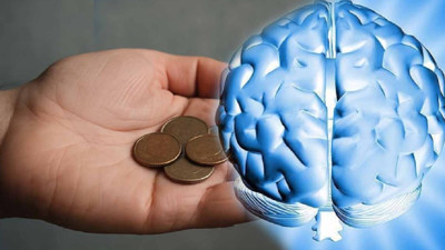 Bilim İnsanlarından Çarpıcı Araştırma: Parasızlığın Beyni Küçülttüğü Ortaya Çıktı