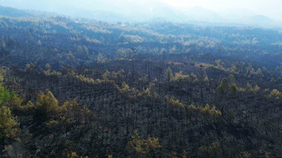 63 Saatlik Kabustan Geriye Kalan... Köyceğiz Artık Kömür Karası
