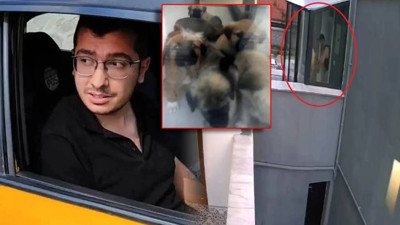 Hayvanlara İşkence Eden Doktor Hakkında Karar