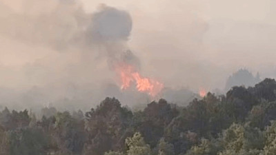 Konya'da Sazlık Alanda Çıkan Yangın, Ormana Sıçradı