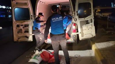 Samsun’da Dev Operasyon! 5 Ton Kaçak Midye Ele Geçirildi