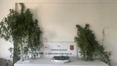 Samsun'da Uyuşturucuya Geçit Yok