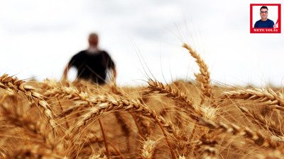 Kentlerde Gıda Sistemi Nasıl Dönüşür?