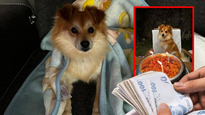 3 Ay Önce Sırra Kadem Basmıştı: Küçük Pablo'yu Bulana Anında 50 Bin TL Ödül Verilecek