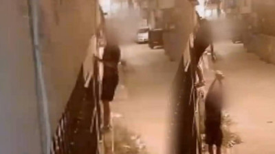 Bunun Adı Vicdansızlık! Evden Çaldıkları Kediyi Sokağa Bıraktılar