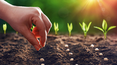 Tarım, Gerçek Milli Güvenlik Tehdidi