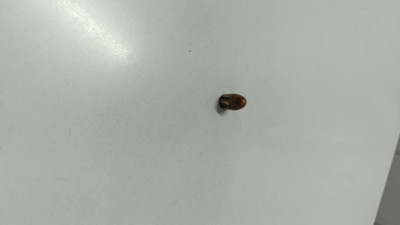 İş Yerine Yorgun Mermi İsabet Etti