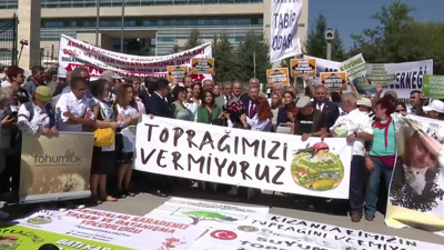 'Talan' Yasası AYM Gündeminde! Zeytinliklerin Kaderi İçin İlk İnceleme Tamam