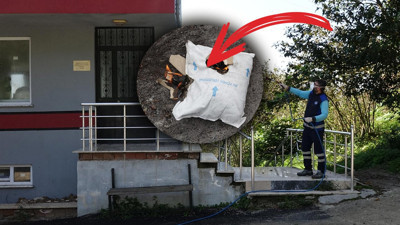 Trabzon Diken Üstünde! Halk Tedirgin, Evleri Kokarca Bastı, ‘Kıtlığa Az Kaldı’