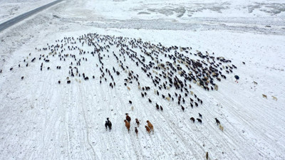Kış Erken Geldi, Göçerler Zor Anlar Yaşadı