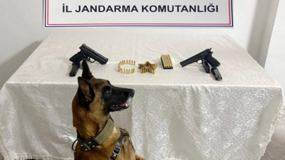 Şanlıurfa’da Silah Kaçakçılığına Yönelik Operasyon: 8 Kişi Gözaltında