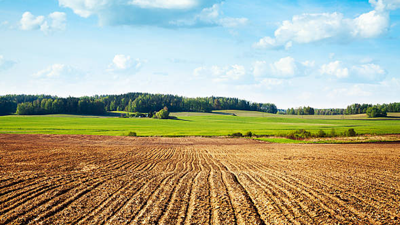 Tam 507 Yıllık, İngiltere'de Tarlada Yürürken Keşfetti, 4.6 Milyon Dolar Değerinde