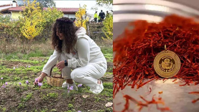 Hasat Başladı, Dünyada Böylesi Yok! Kilosu 600 Bin Lira, Bir Gramı Bir Ay Yetiyor