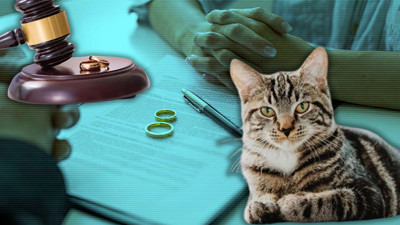 Yeni Nesil Nafaka Dönemi: Boşanma Protokolünde İlk! 10 Yıl Boyunca Bu Parayı da Ödeyecek