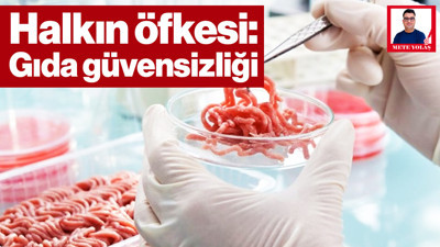 Nereden Çıktı Bu Gıda Politikaları? – II