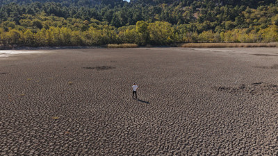 Anadolu Parsı Bile Yaşıyordu... Kovada Gölü Milli Parkı Ölmek Üzere, Durum Çok Vahim!