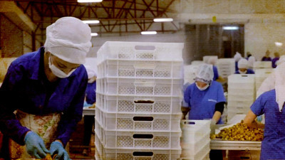 Türkiye’nin Gıda Devi İflasın Pençesinde! Yarım Asırlık Marka Krizde