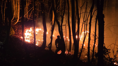 Ordu’da Örtü Yangını Kontrolden Çıktı! Alevler Ormana Sıçradı