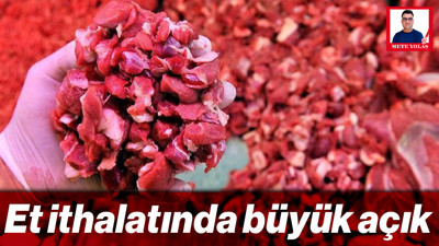 Et İthalatında Büyük Açık: Bakanlık Yerine Şirketler mi Karar Veriyor?